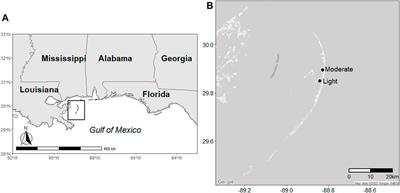 Enhanced susceptibility to oiling may limit denitrification recovery in marshes subjected to woody encroachment